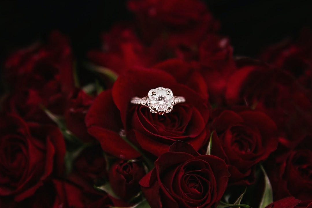 A diamond engagement ring featuring a GIA certified diamond rests on a bed of dark red roses.