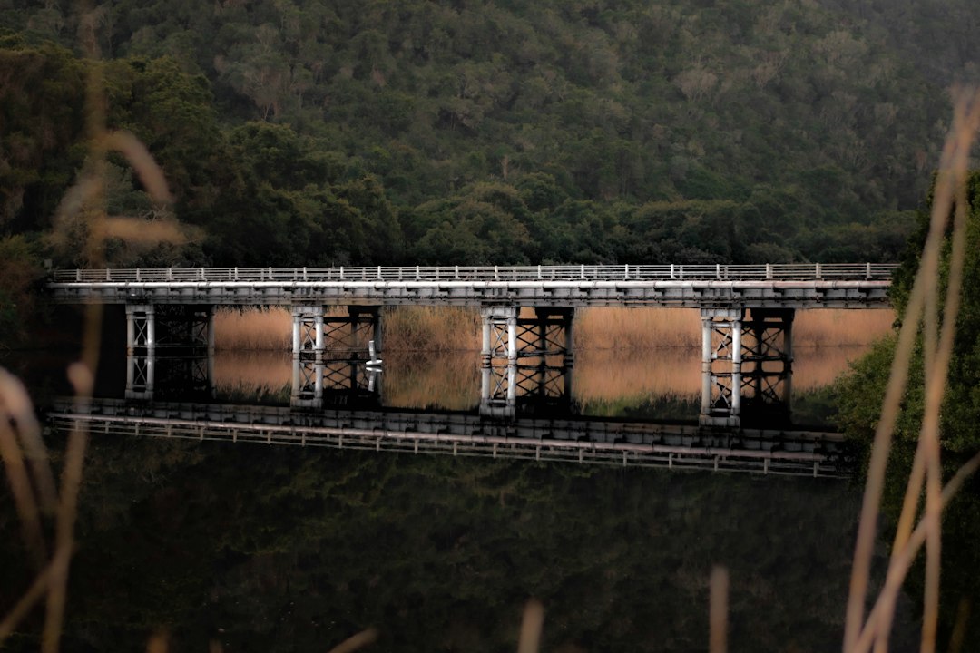 A white metal bridge with multiple pillars crosses a calm body of water, reflecting the structure. Dense green trees and a hillside form the background, offering an exclusive view often found in remote locations.