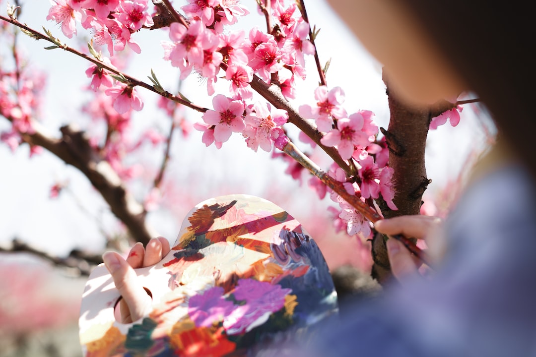A person holding a paint palette paints or observes pink cherry blossoms on a tree branch outdoors, capturing the vibrant beauty often celebrated in the exclusive art of the Los Angeles art scene.