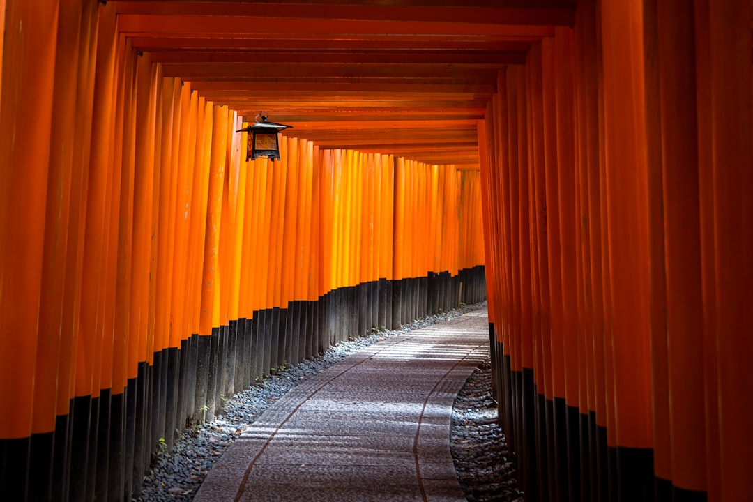 A curved stone pathway passes through a tunnel of bright orange torii gates, with a hanging lantern visible overhead—an iconic stop on many exclusive tours and gourmet tours Japan offers.