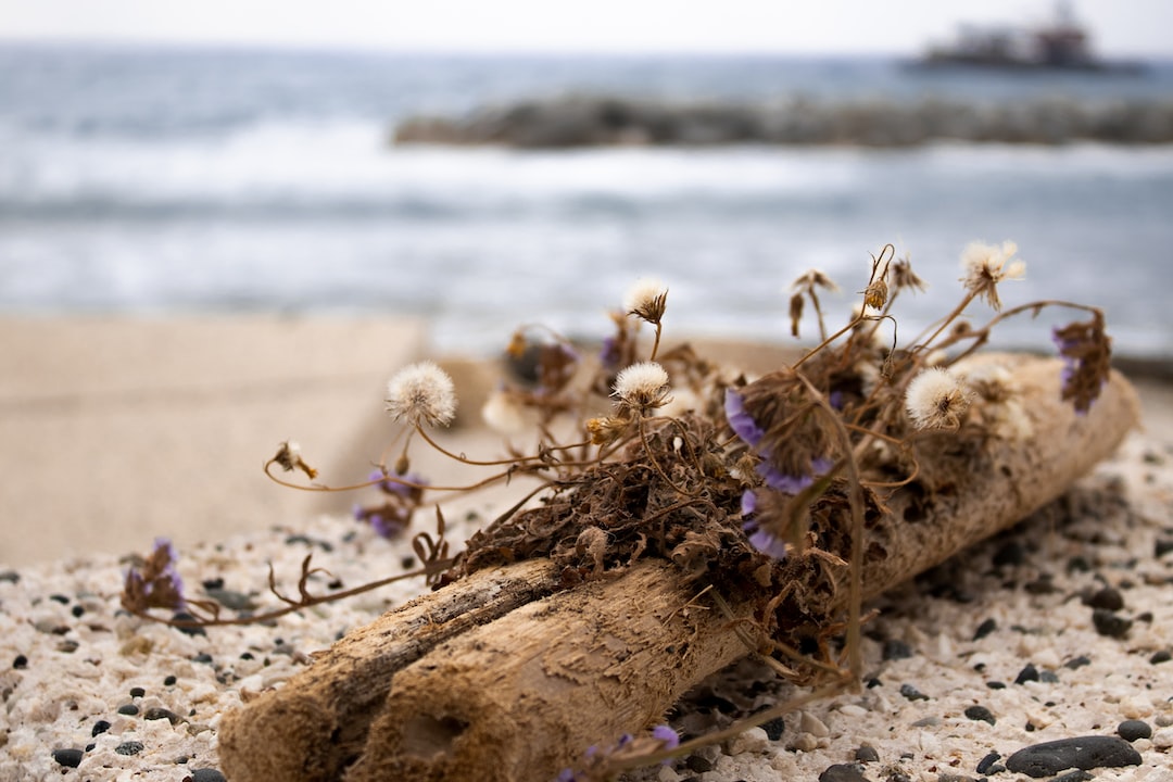 A dried bouquet of wildflowers rests on driftwood atop a pebbled surface, evoking the tranquil elegance found at Barcelona beach clubs near a blurry seashore.
