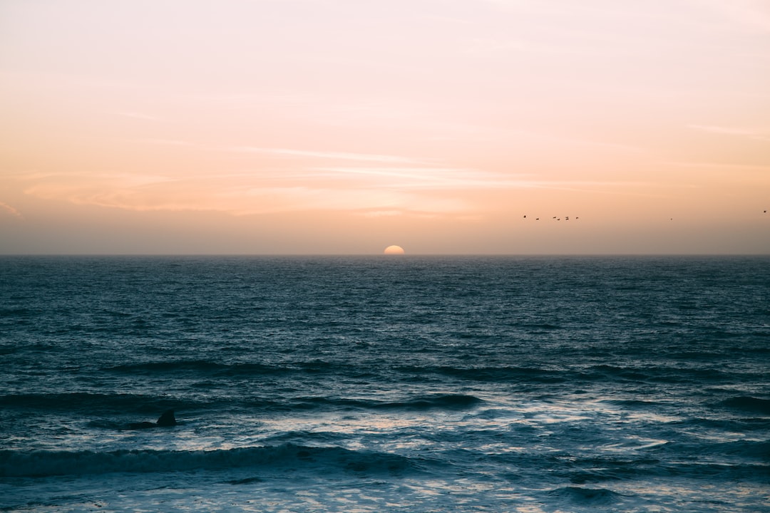 The sun sets over a calm ocean, beginning a stellar journey as birds fly in the sky and gentle waves shimmer under the rising moon.
