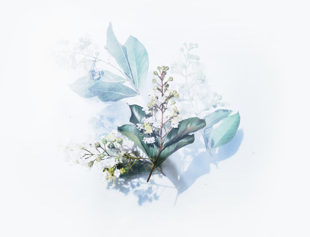 A cluster of green leaves and small white flowers is arranged on a light background with a soft, ethereal effect, echoing the delicate florals seen in Richard Quinn's bold prints.