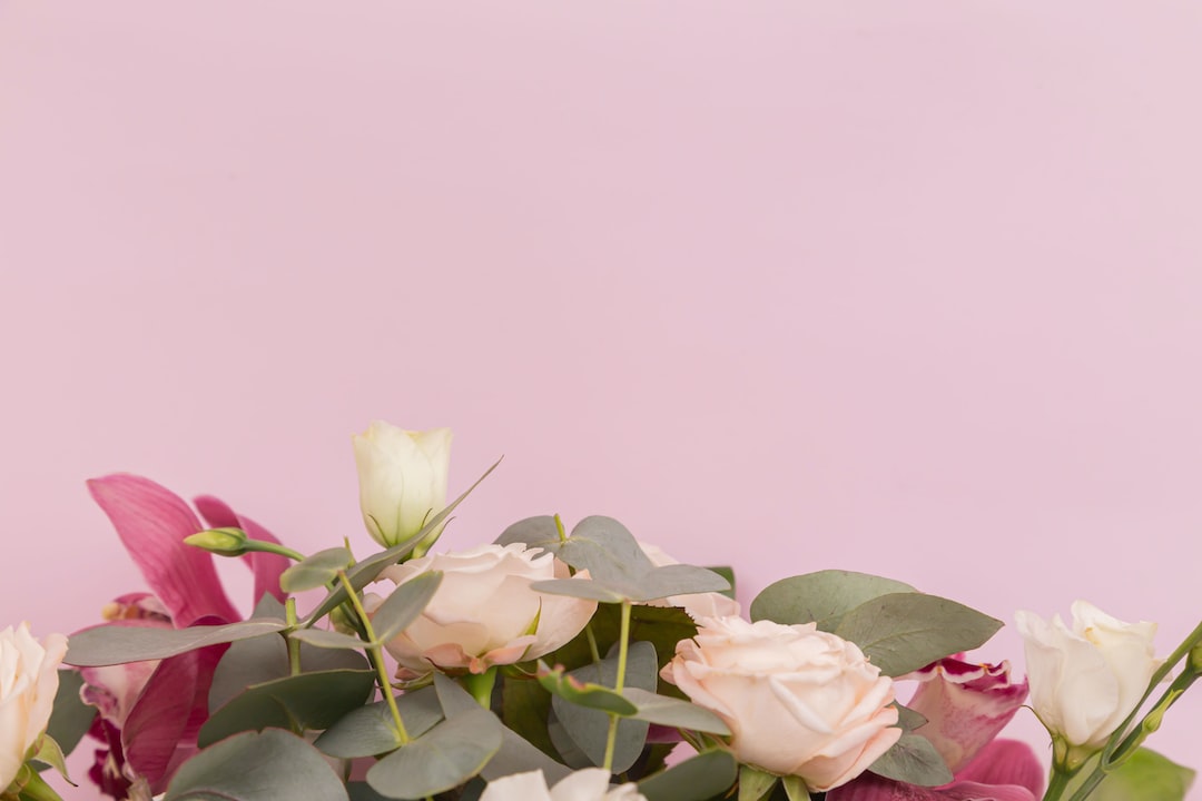 A bouquet of pale pink and white roses with green leaves arranged against a plain light pink background, perfect for luxury gift giving.