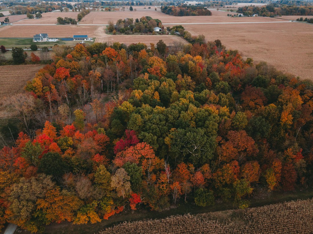 Aerial view of a dense forest with autumn foliage in rich reds, oranges, and yellows, surrounded by farmland and a few houses—an idyllic backdrop for luxury weddings or unforgettable destination weddings.