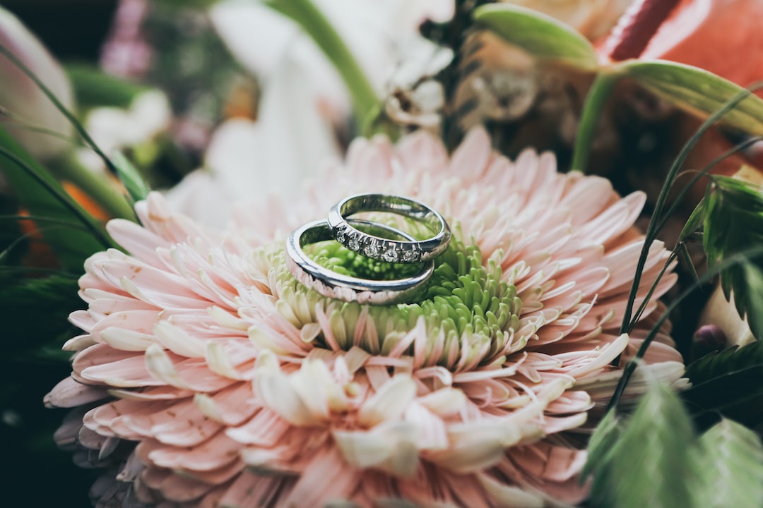 Two silver rings, one plain and one adorned with small diamonds, rest on a pink and green flower surrounded by foliage, capturing timeless beauty and highlighting the importance of jewelry authentication.